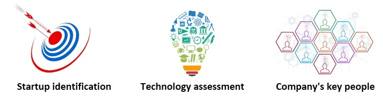 Content of startups identification.