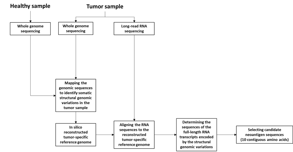 Schematic of the FramePro method for identifying neoantigens, now owned by CureVac.