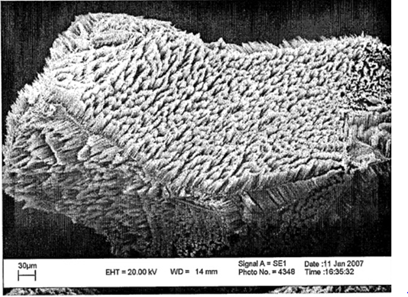 Extracted from Nexeon’s patents, a picture of pillared silicon particles.