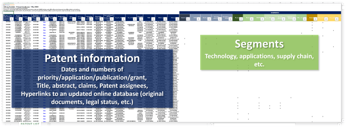 Patent database sample.