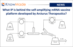 Featured image of the article What IP is behind the self-amplifying mRNA vaccine platform developed by Arcturus Therapeutics?