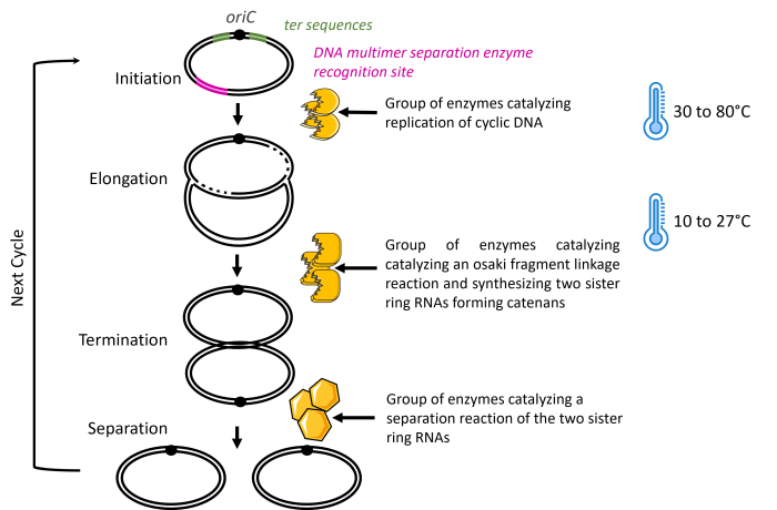 Schematic illustration of OriCiro's patented innovation that Moderna acquired to complete its mRNA platform production process.