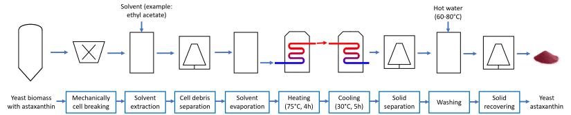 Based on the information found in the NextFerm patent application, here is a step-by-step diagram to produce microbial astaxanthin.