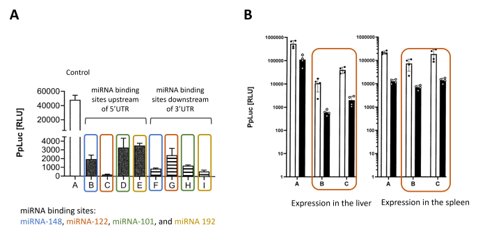 Results extracted from the patent application WO2022/233880 filed by CureVac showing that the expression of Luciferase is dependent upon the recognition of a miRNA site.