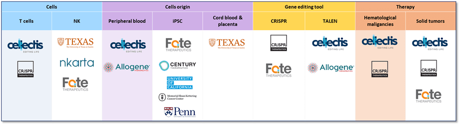 Table of current IP actors in allogeneic CAR, revealed in KnowMade’s patent landscape report.
