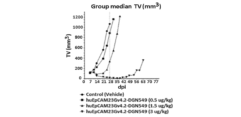 Graph of tumor volume after different doses of huEpCAM23Gv4.2-lys-DGN549 treatment in a patent owned by CytomX.