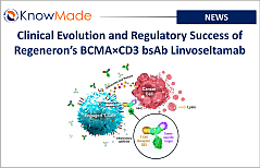 Featured image of the article Clinical Evolution and Regulatory Success of Regeneron’s BCMA×CD3 bsAb Linvoseltamab.