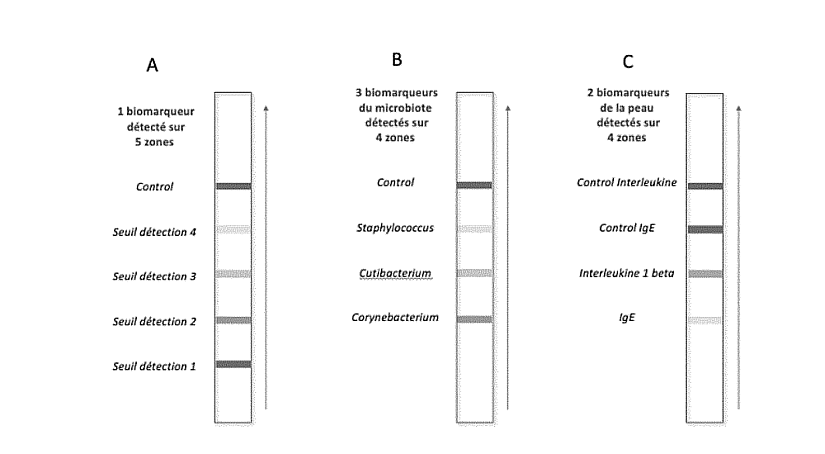 Illustration of the detection strips used in the Byome's diagnostic kit of skin microbiota.