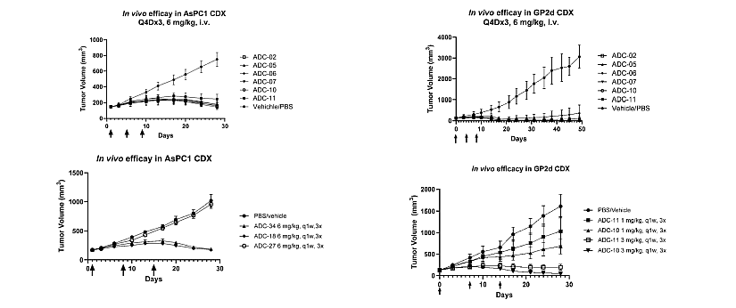 Tables of in vivo studies on the efficacy of ADC in patent application WO2024199337.