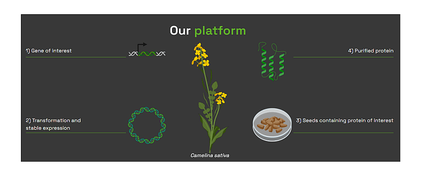 Illustration of Core Biogenesis innovation.