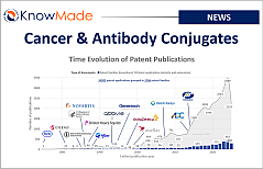 Featured image of the article Cancer & Antibody Conjugates.