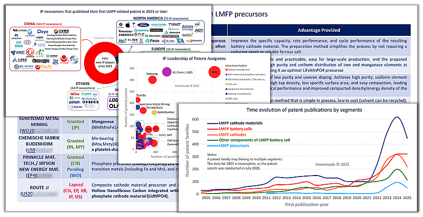 Some of the useful data inside the LMFP patent landscape report.
