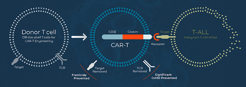 Illustration of CAR-T platform by Wugen.