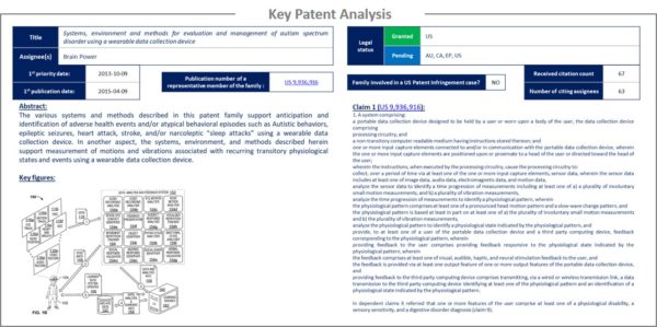 Key patent analysis.