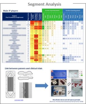 Segment analysis.