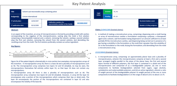 Key patent analysis.