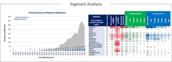 Segment analysis.