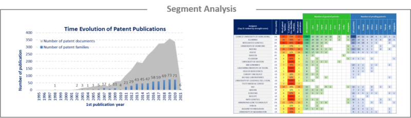 Segment analysis.