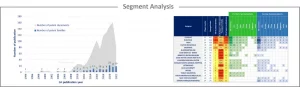 Description of KnowMade's method for segment analysis.