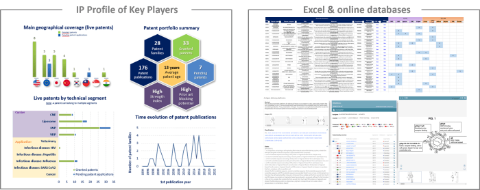 Examples of data provided in the saRNA report.