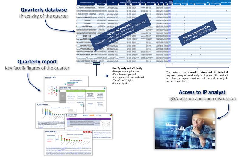 Sample of GaN power & RF patent monitor.