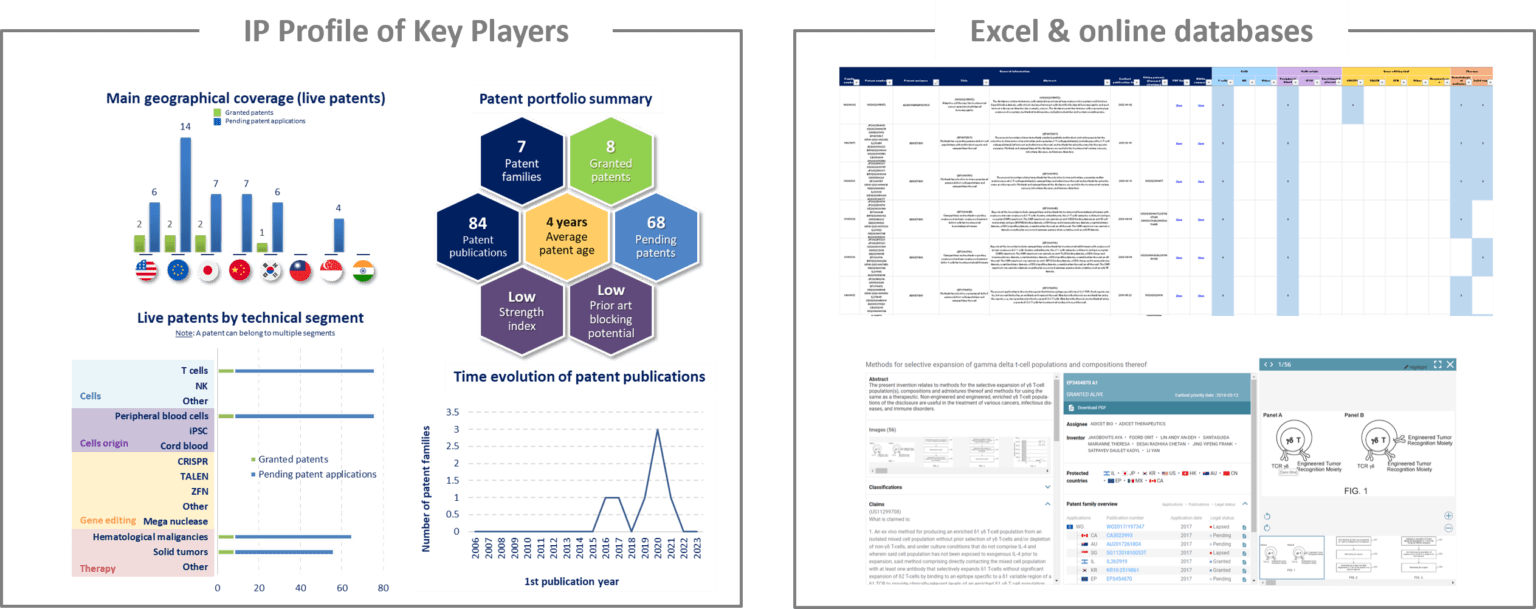 Allogeneic CAR Patent Landscape Analysis 2023