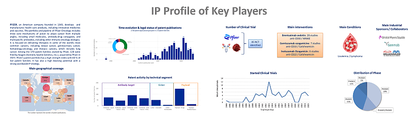 Examples of IP Profile of Key Players.